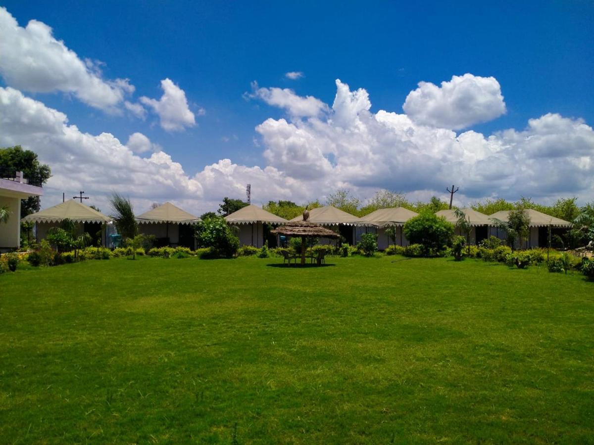 Ranthambore Nature Camp