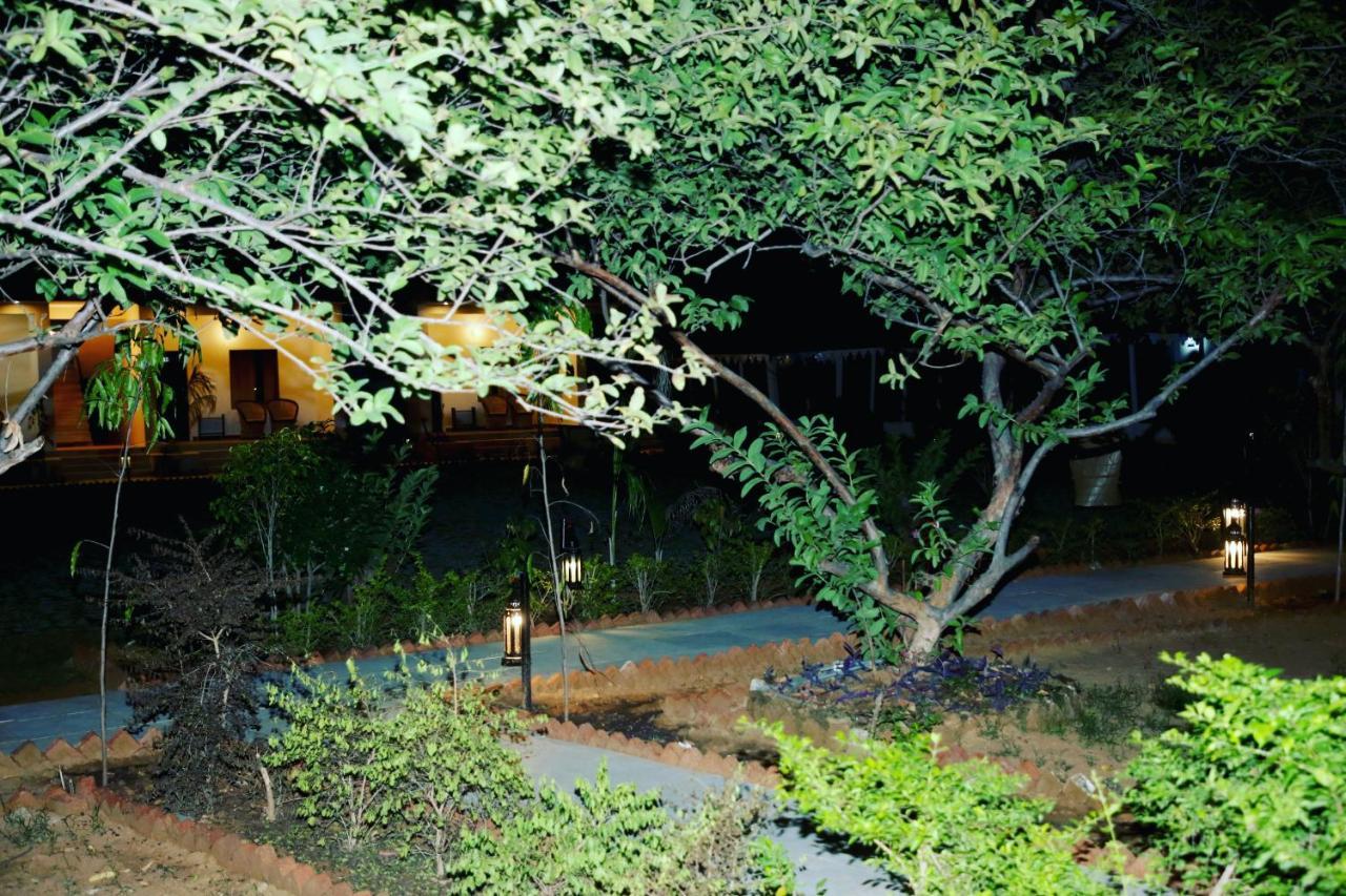 Ranthambore Nature Camp